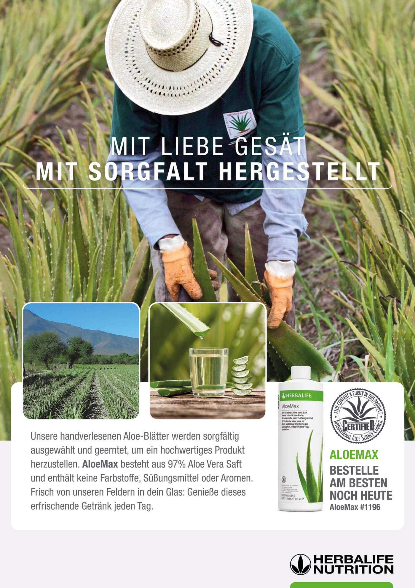 Aloe Vera Getränkekonzentrat (ref: 0006)